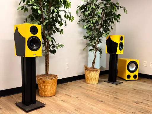 61/AX plus S-10/R Lamborghini Yellow combo